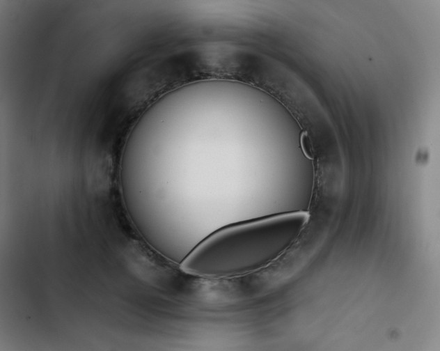 X0000103330752200809051209