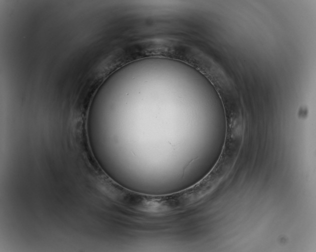 X0000103330753200809051209