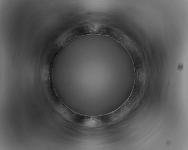 X0000103330754200809051209