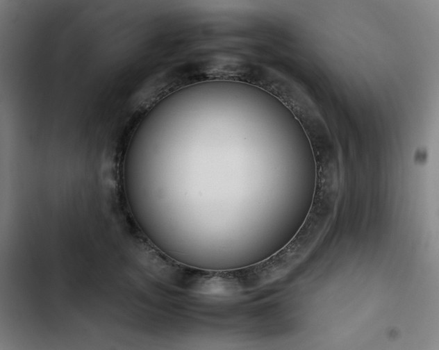 X0000103330755200809051209