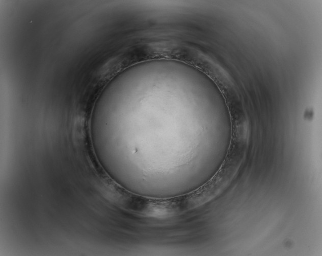 X0000103330757200809051209