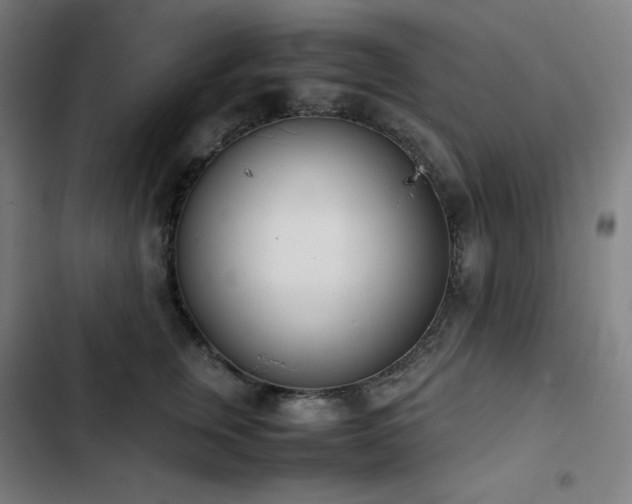 X0000103330759200809051209