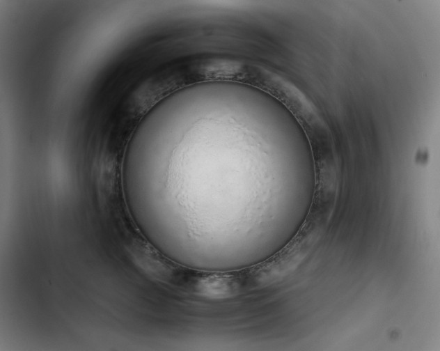 X0000103330761200809051209