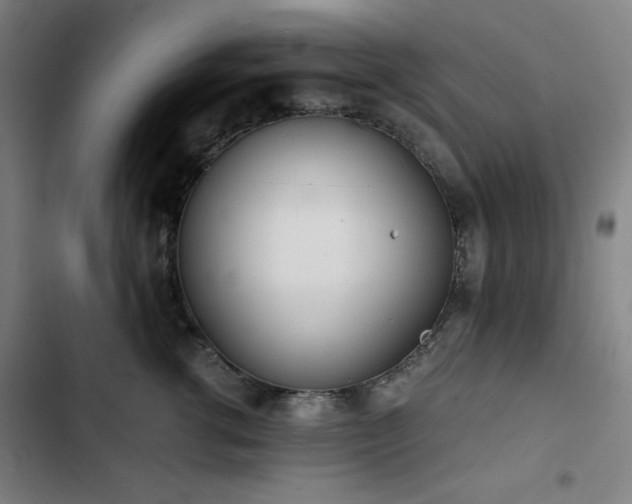 X0000103330762200809051209