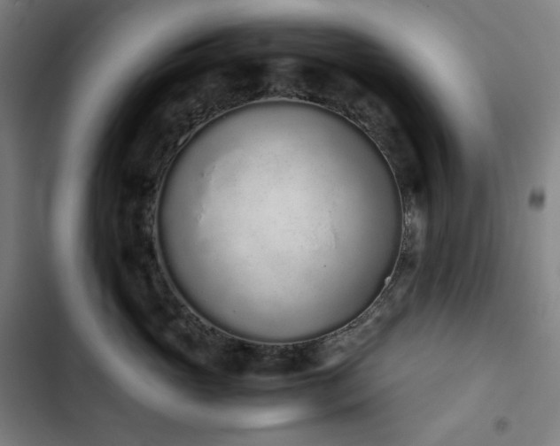 X0000103330765200809051209