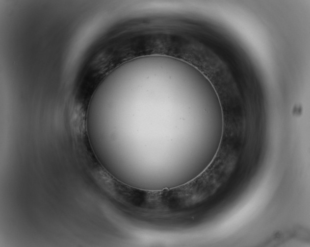 X0000103330766200809051209