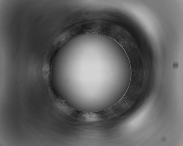 X0000103330767200809051209