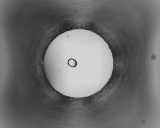 X0000103330769200809051209