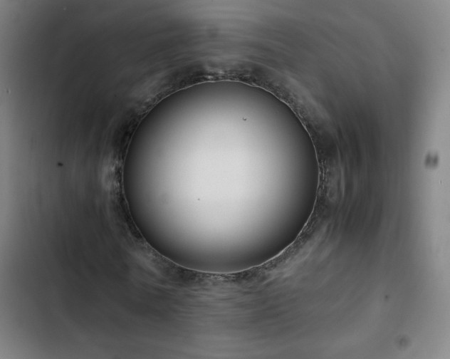 X0000103330770200809051209