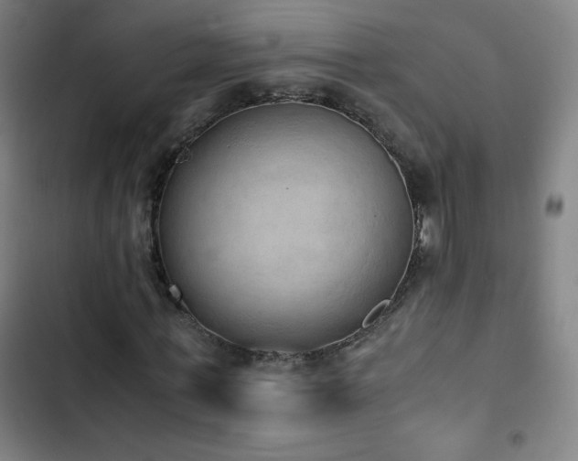 X0000103330771200809051208