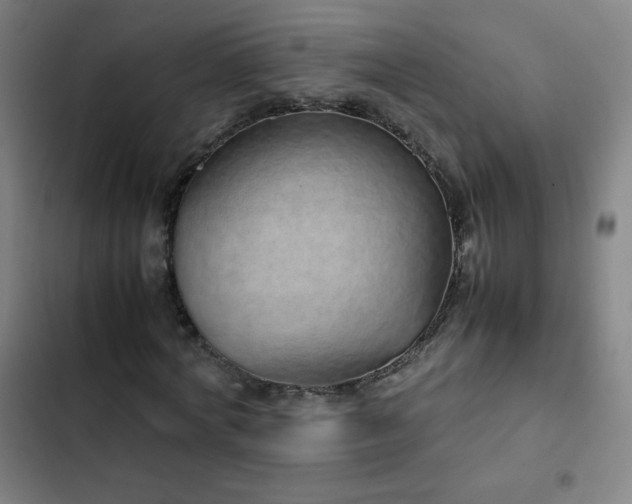 X0000103330772200809051208