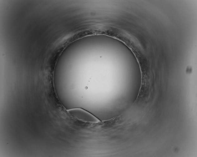 X0000103330773200809051208