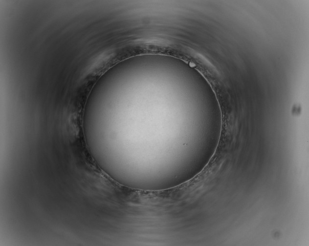 X0000103330774200809051208