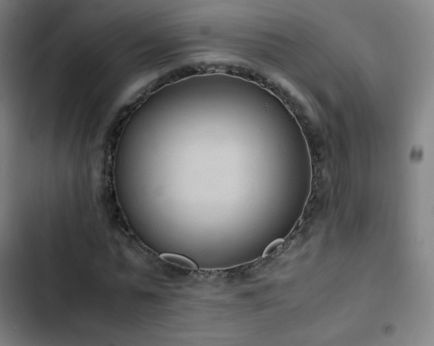 X0000103330775200809051208