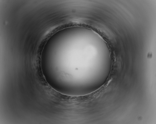 X0000103330776200809051208