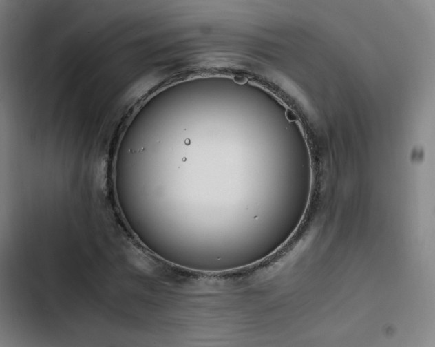 X0000103330777200809051208