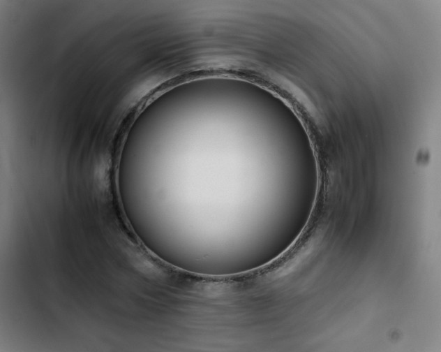 X0000103330778200809051208