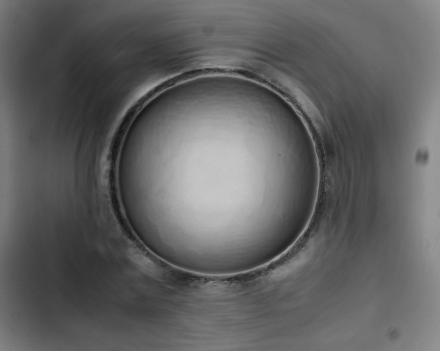 X0000103330779200809051208