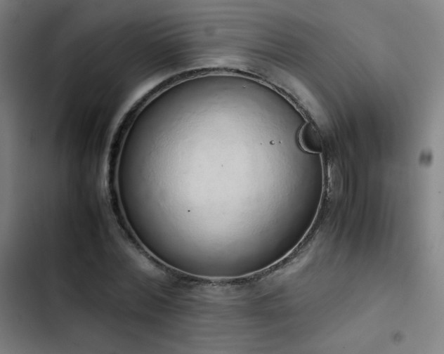 X0000103330780200809051208