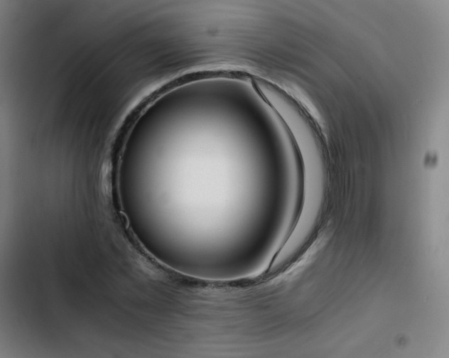 X0000103330781200809051208