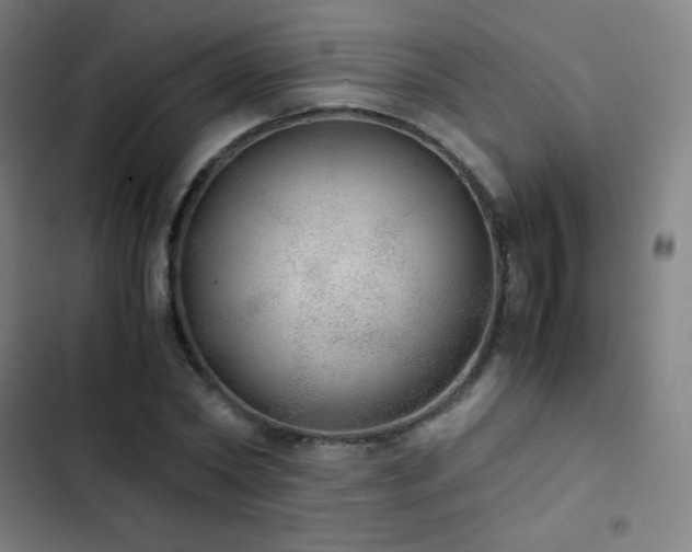 X0000103330782200809051208