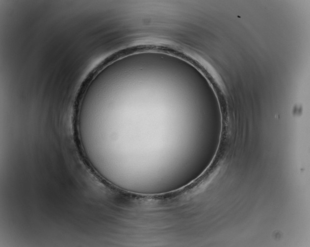 X0000103330783200809051208