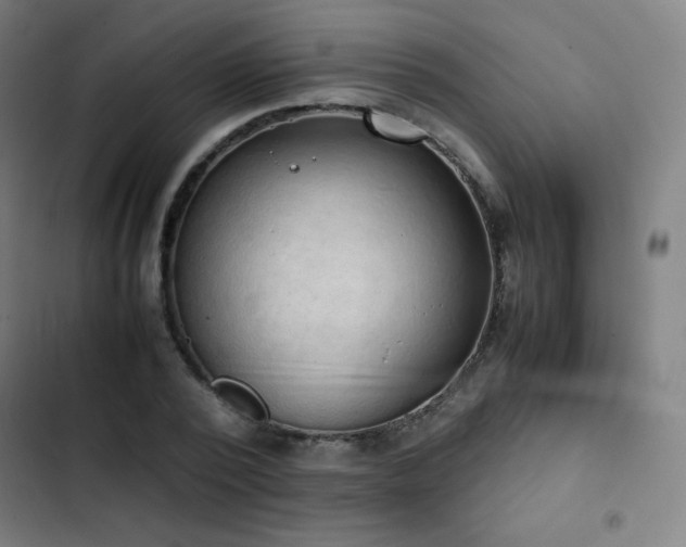 X0000103330784200809051208