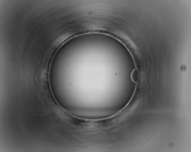 X0000103330785200809051208