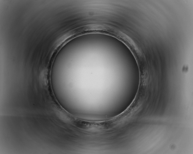 X0000103330786200809051208