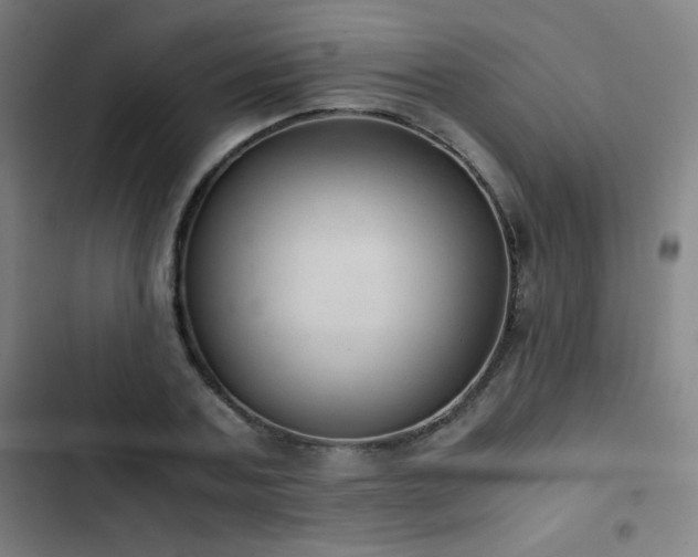 X0000103330787200809051208