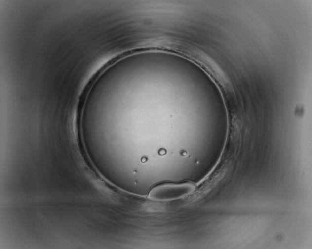 X0000103330788200809051208