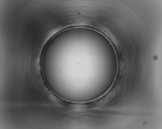 X0000103330789200809051208