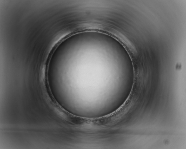 X0000103330790200809051208