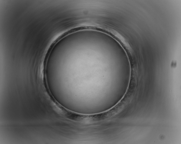 X0000103330791200809051208