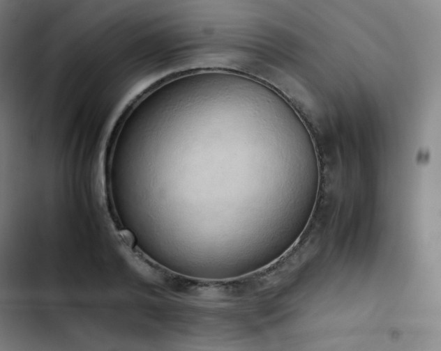 X0000103330792200809051208