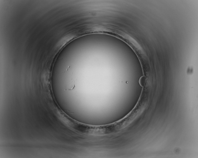 X0000103330793200809051208