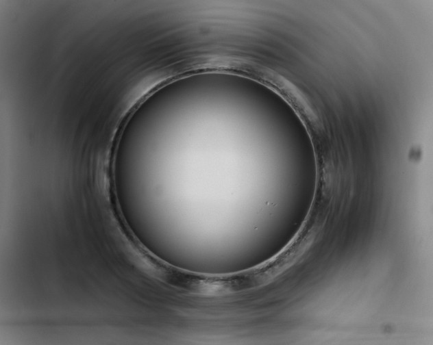 X0000103330794200809051208