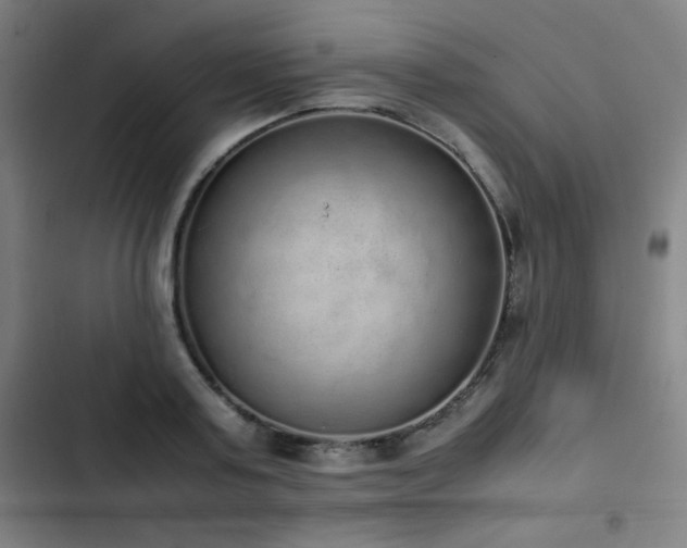 X0000103330795200809051208