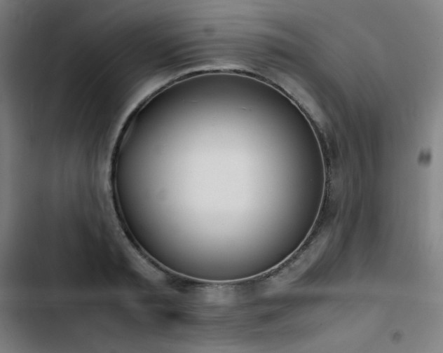 X0000103330797200809051208