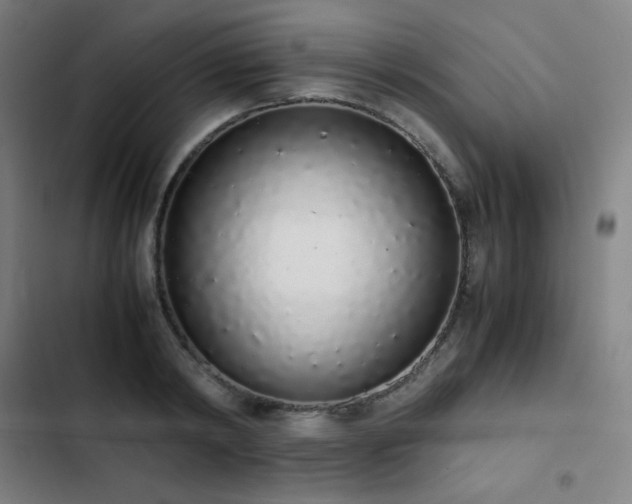 X0000103330798200809051208