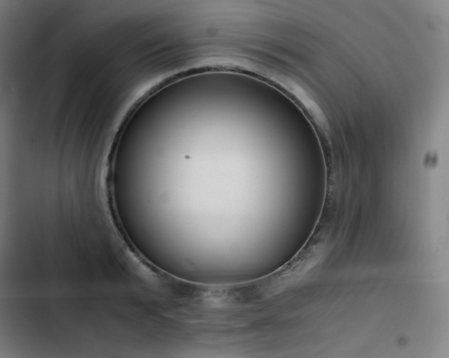 X0000103330799200809051208