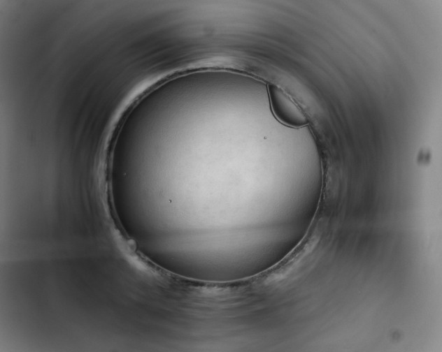 X0000103330800200809051208