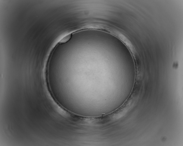 X0000103330803200809051208