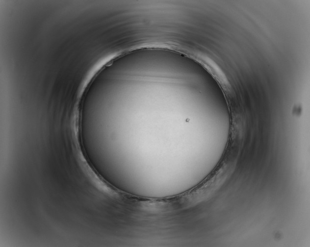 X0000103330804200809051208