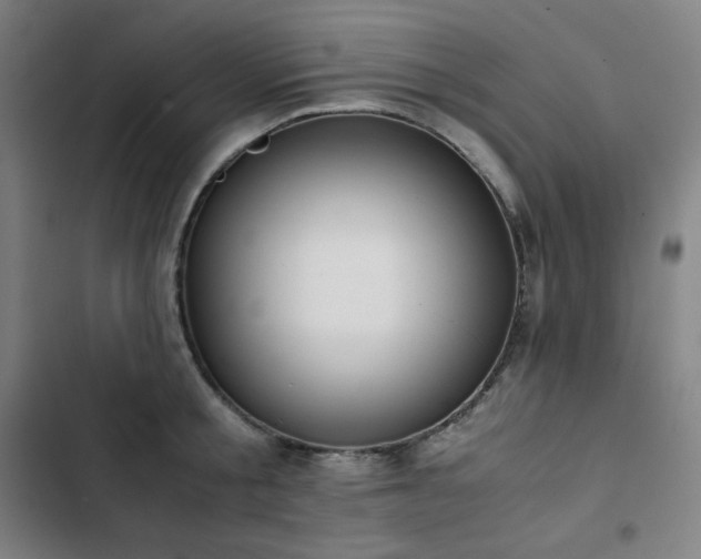 X0000103330805200809051208