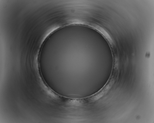 X0000103330806200809051208