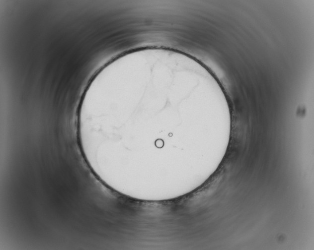 X0000103330807200809051208