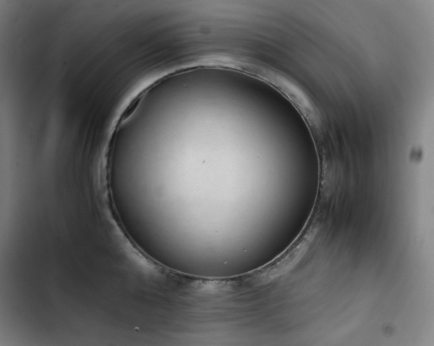 X0000103330808200809051208