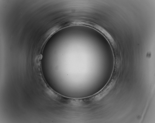 X0000103330809200809051208