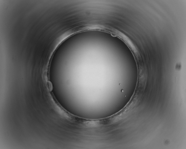 X0000103330810200809051208